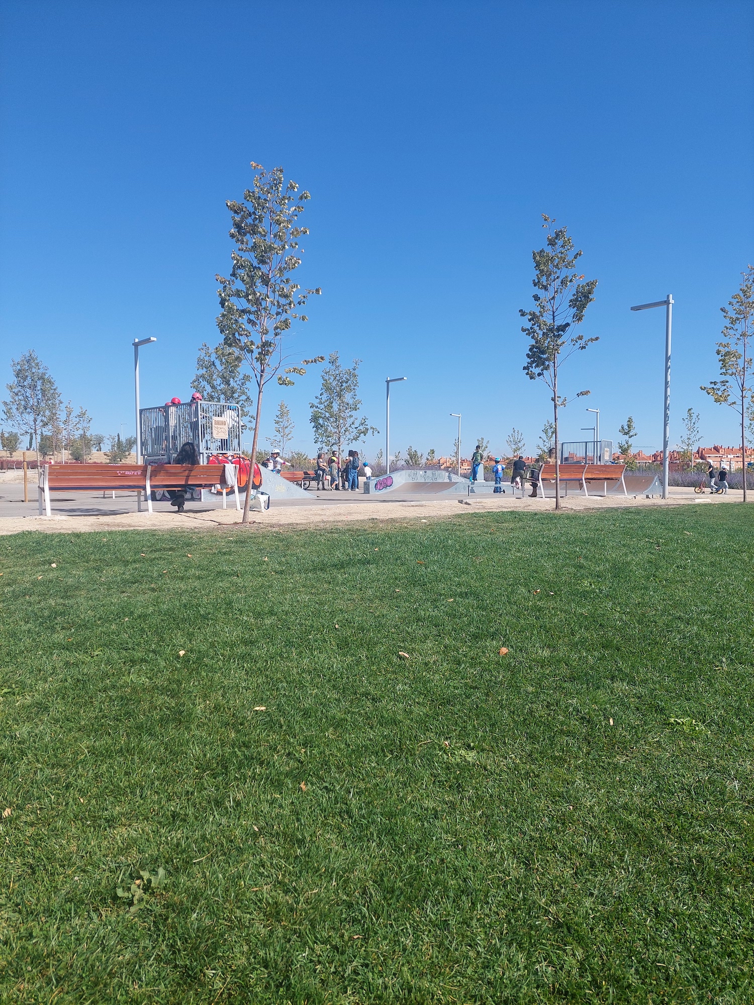 Cuña Verde skatepark